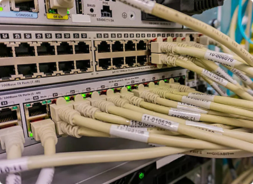 ��ҵ������